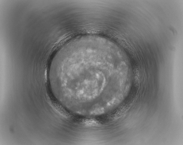 X0000116020262200912041756