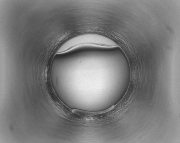 X0000116020264200912041756