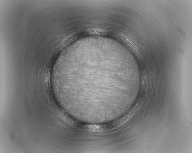 X0000116020265200912041756