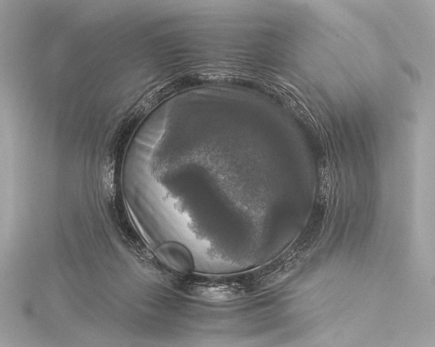 X0000116020267200912041756