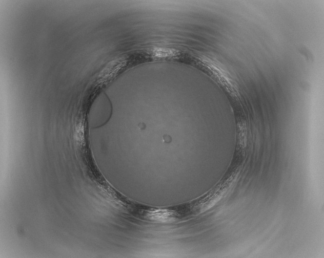 X0000116020269200912041756