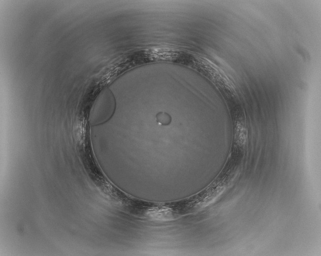 X0000116020271200912041756