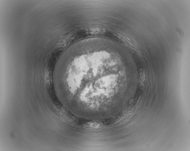 X0000116020272200912041756