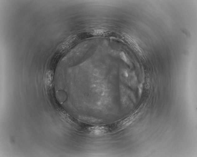 X0000116020273200912041756