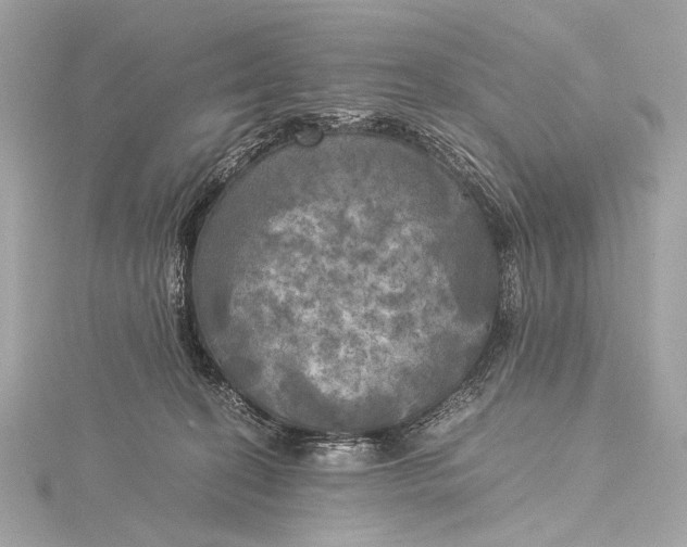 X0000116020274200912041756