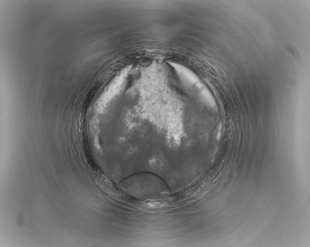 X0000116020275200912041756