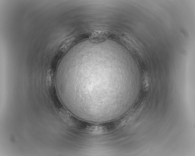 X0000116020276200912041756