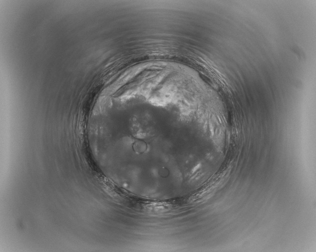 X0000116020277200912041756