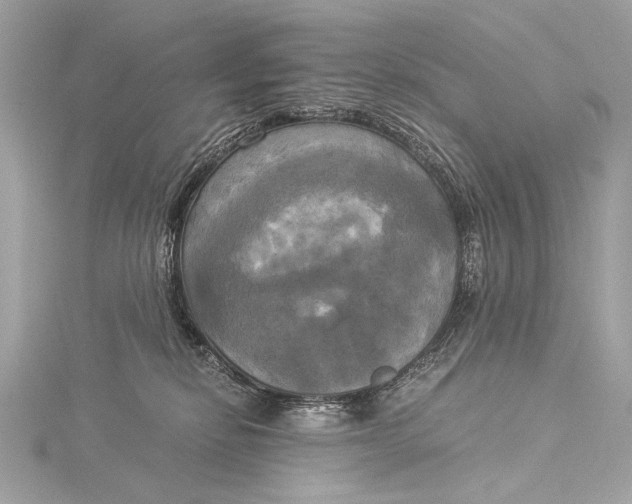 X0000116020278200912041756