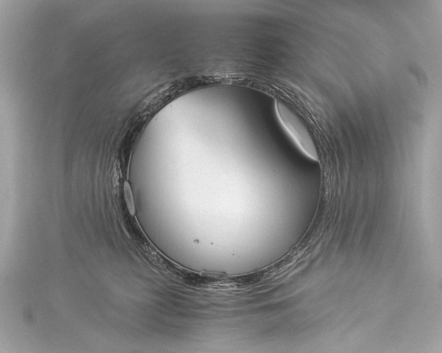 X0000116020279200912041756