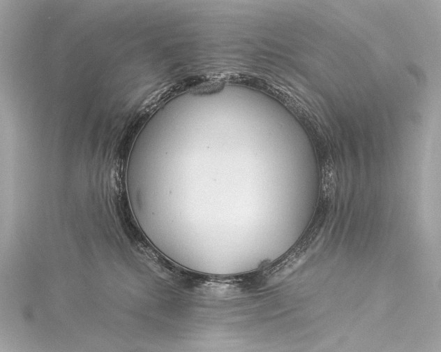 X0000116020280200912041756