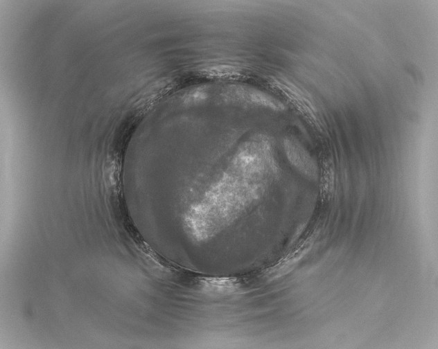 X0000116020281200912041756