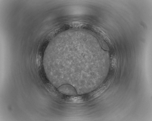 X0000116020283200912041756