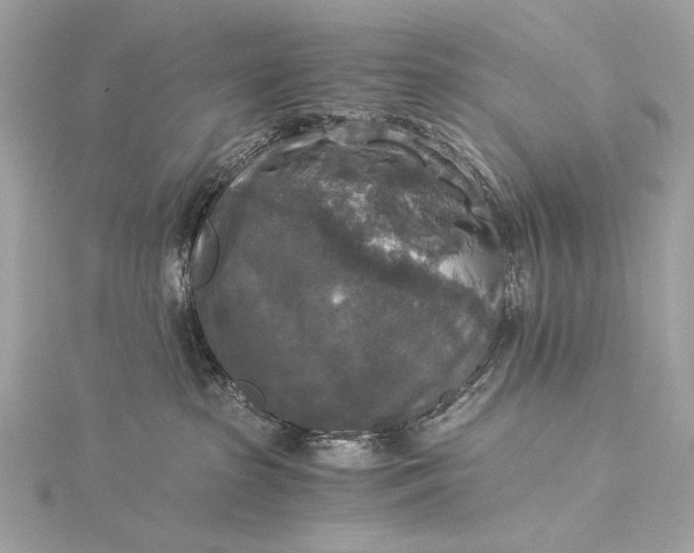 X0000116020285200912041756