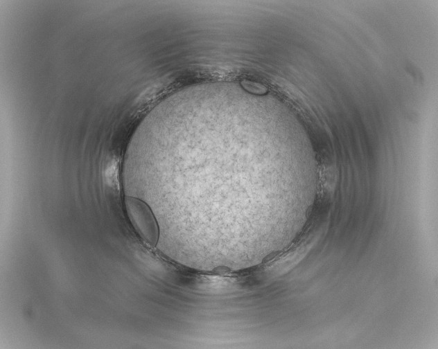 X0000116020286200912041756