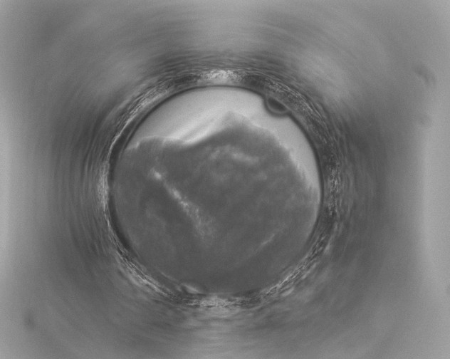 X0000116020290200912041756