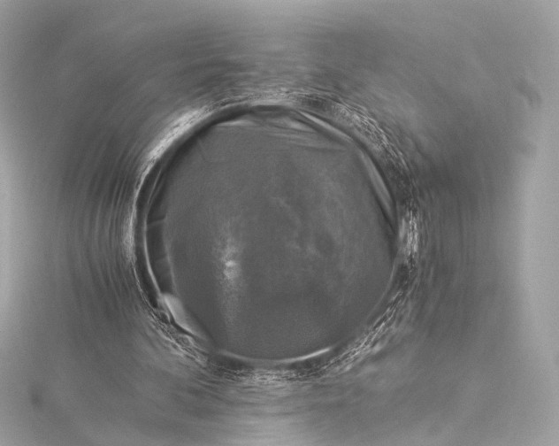 X0000116020292200912041756