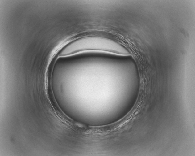 X0000116020294200912041756