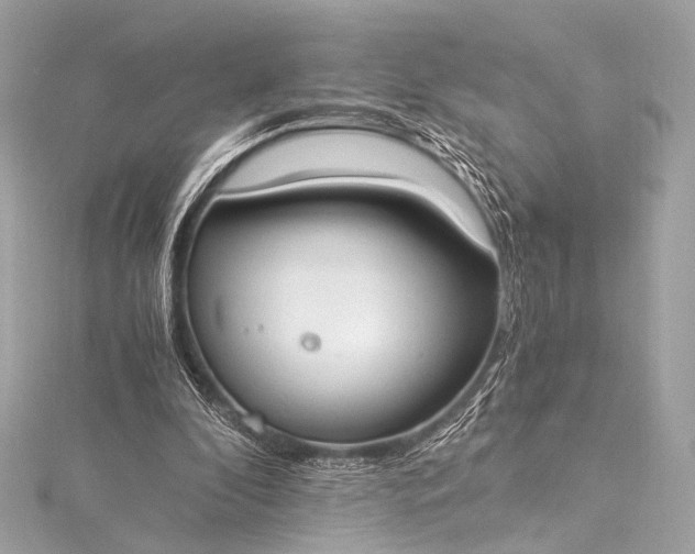 X0000116020296200912041756