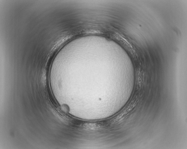 X0000116020298200912041756