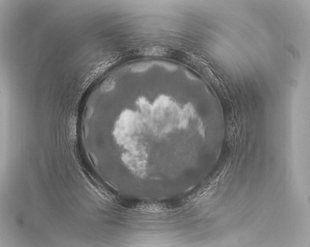 X0000116020299200912041756