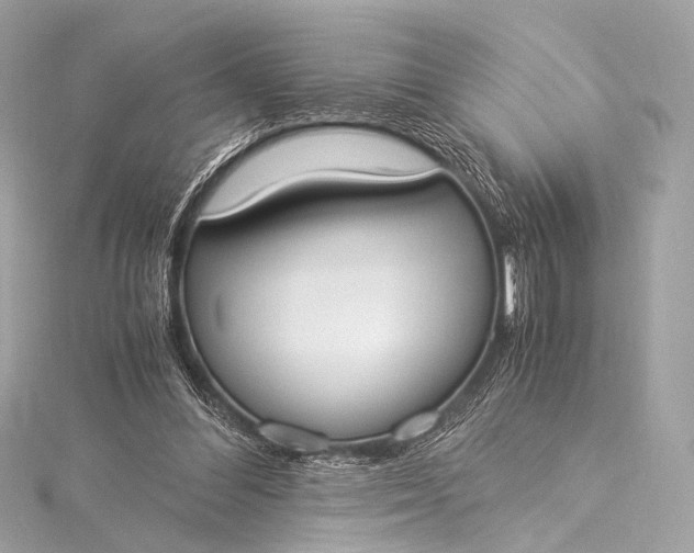 X0000116020300200912041756