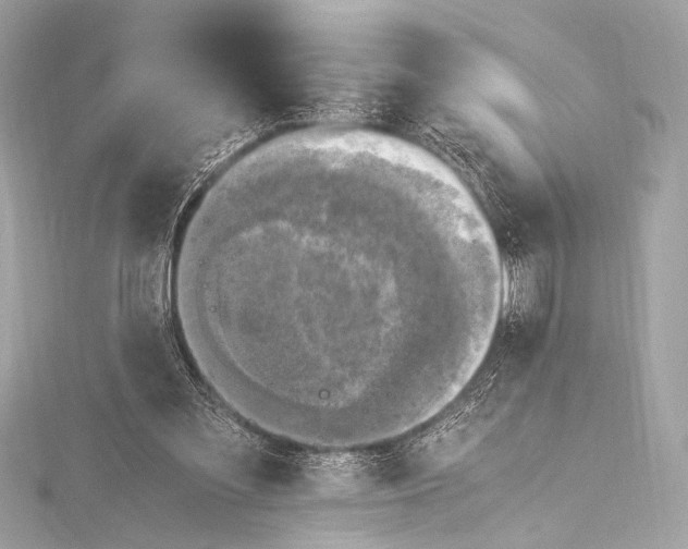 X0000116020301200912041756