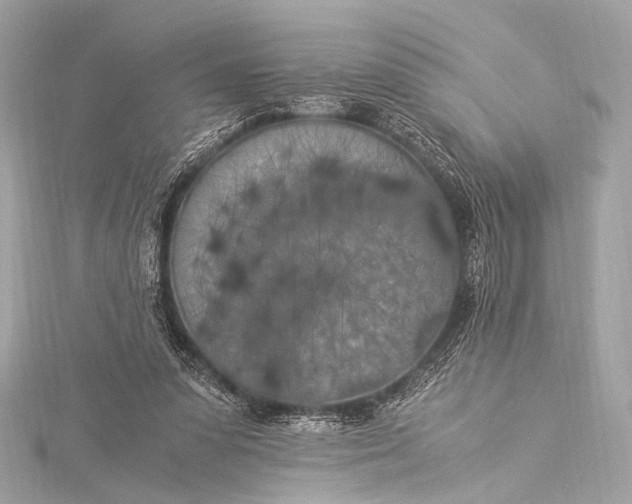 X0000116020303200912041756