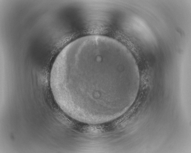 X0000116020305200912041756