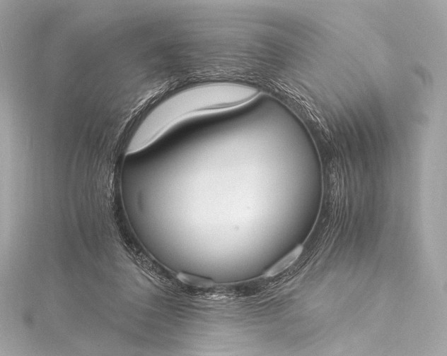 X0000116020308200912041755