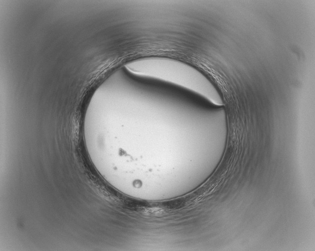 X0000116020309200912041755