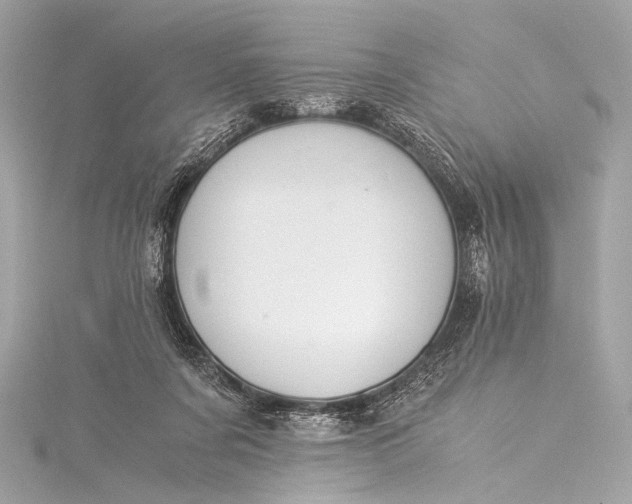 X0000116020311200912041755