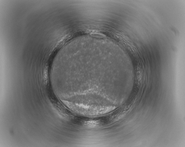 X0000116020312200912041755