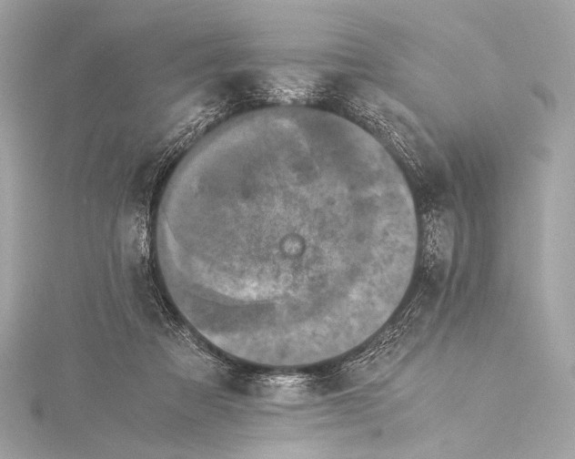 X0000116020313200912041755