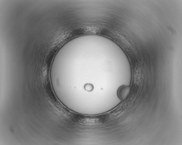 X0000116020314200912041755