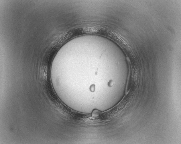 X0000116020315200912041755