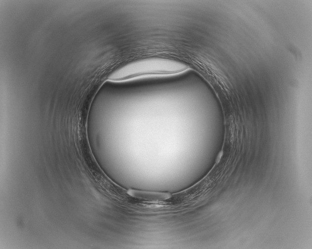 X0000116020316200912041755