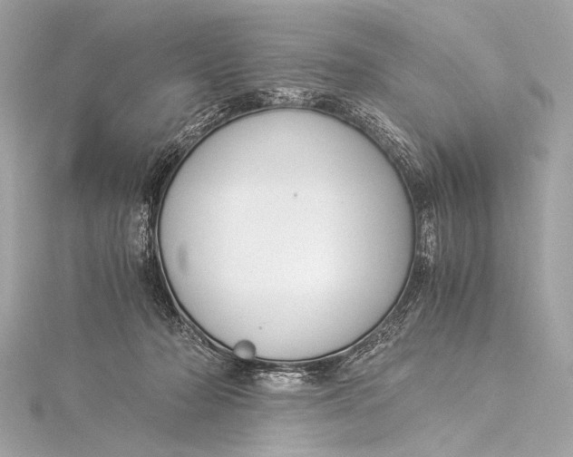 X0000116020318200912041755