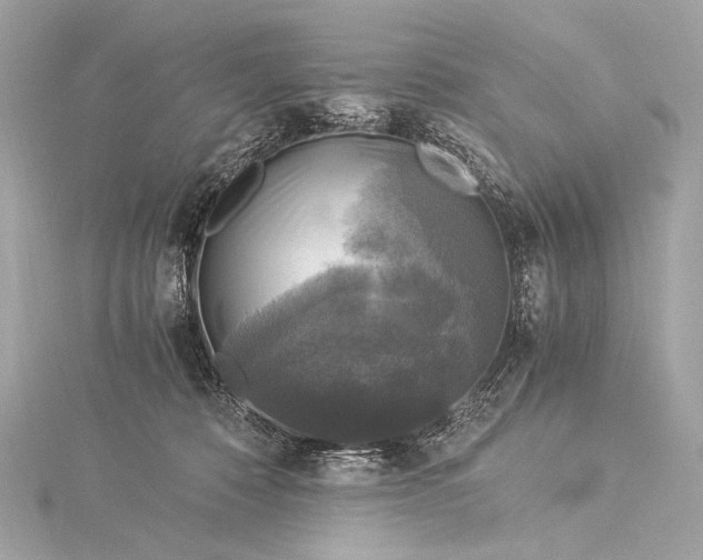 X0000116020320200912041755