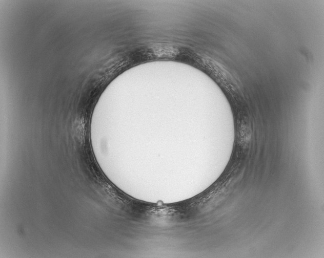 X0000116020321200912041755