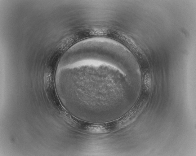 X0000116020322200912041755