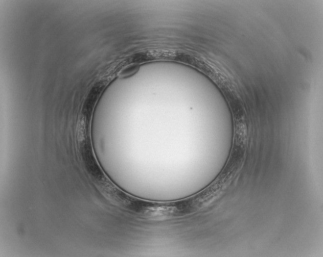 X0000116020323200912041755