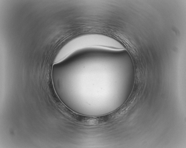 X0000116020325200912041755