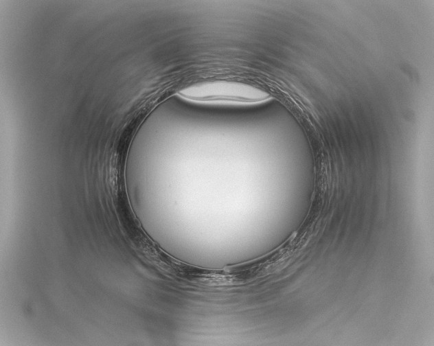 X0000116020328200912041755