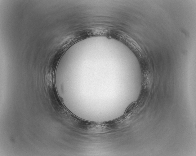 X0000116020329200912041755