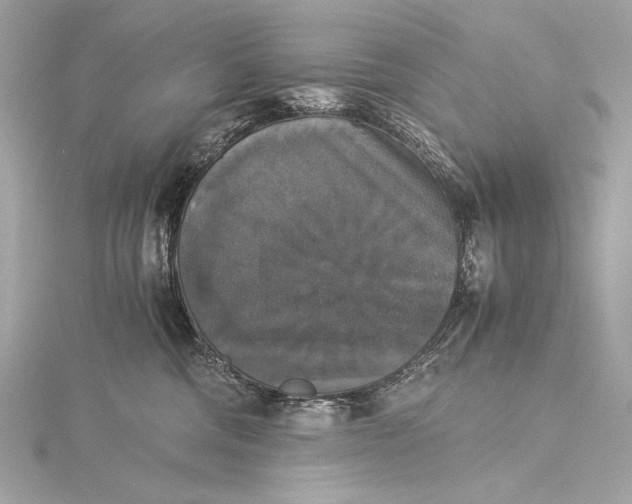 X0000116020330200912041755