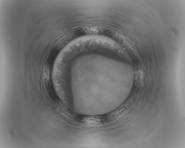 X0000116020331200912041755