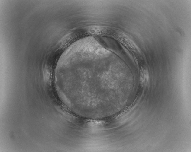 X0000116020332200912041755