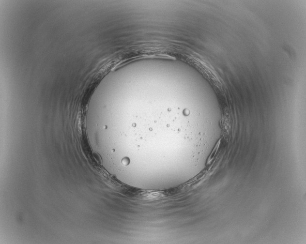 X0000116020333200912041755