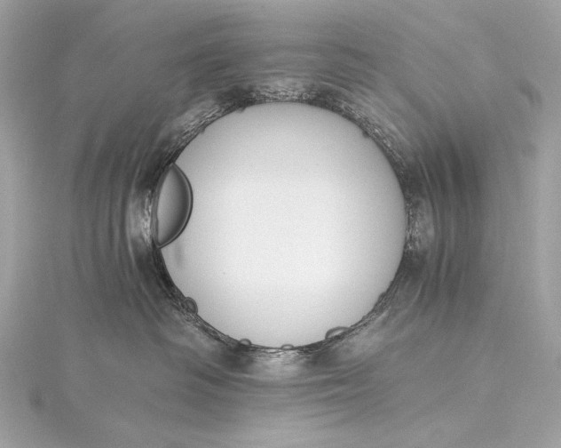 X0000116020334200912041755